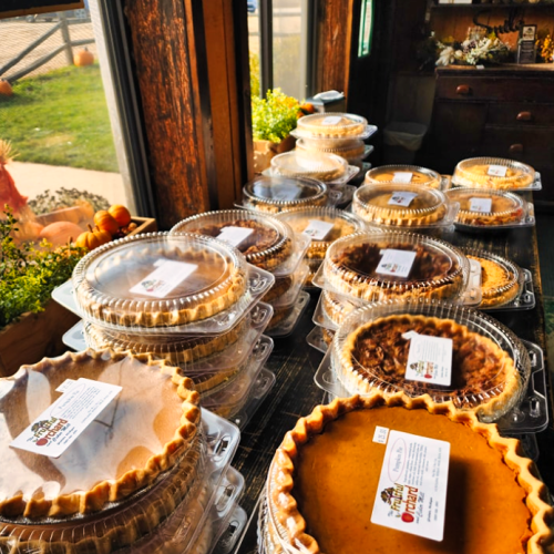 Screenshot 2025-03-10 141512